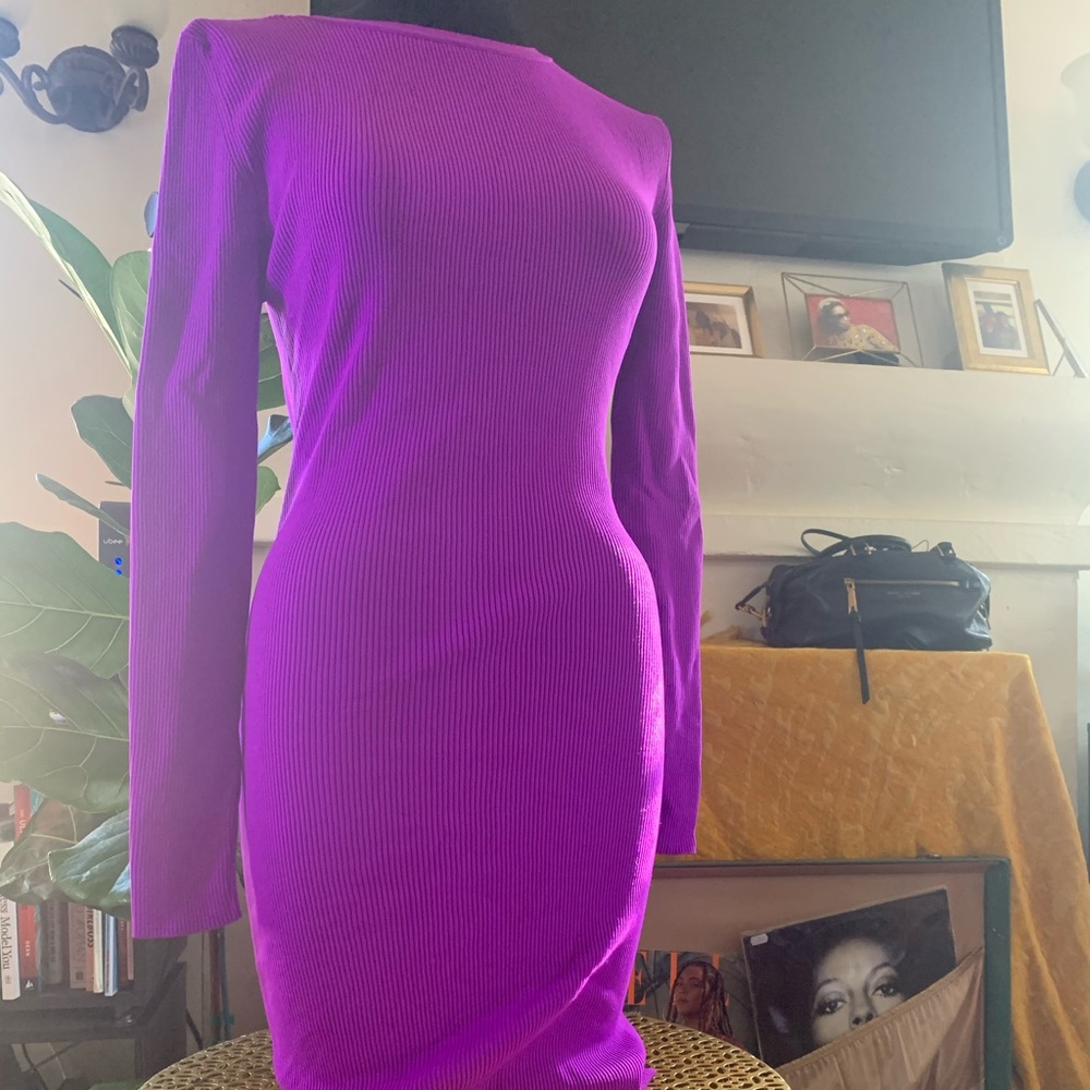 Purple Prowess Purple Ribbed Dress